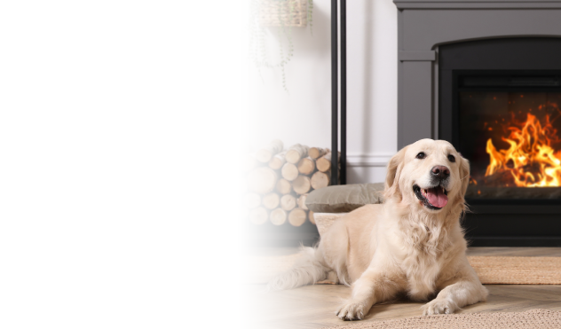 58 10067 Mortgage Winter Refresh Dog Carousel 632X371