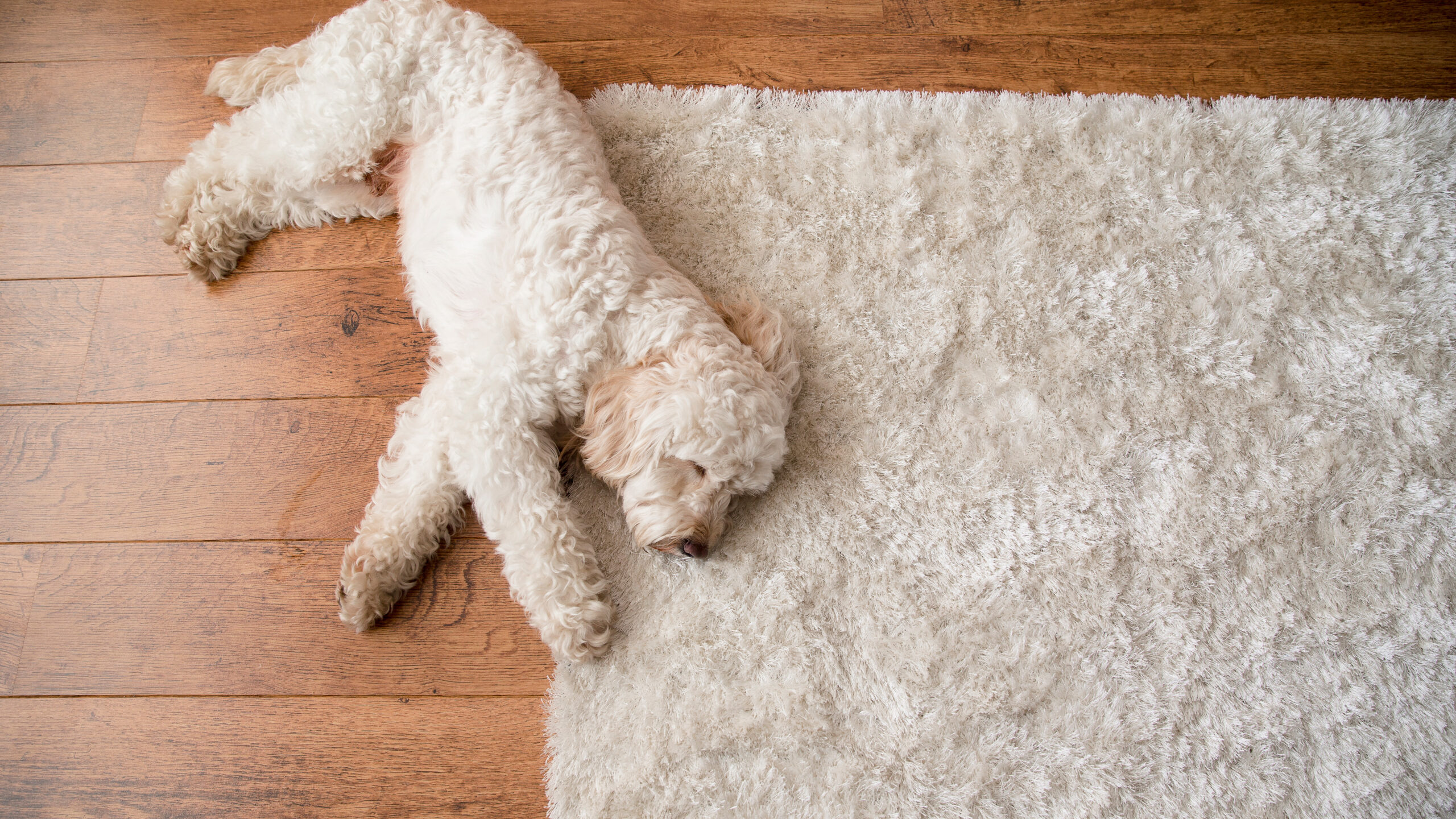 See How a HELOC Can Help with Home Improvement