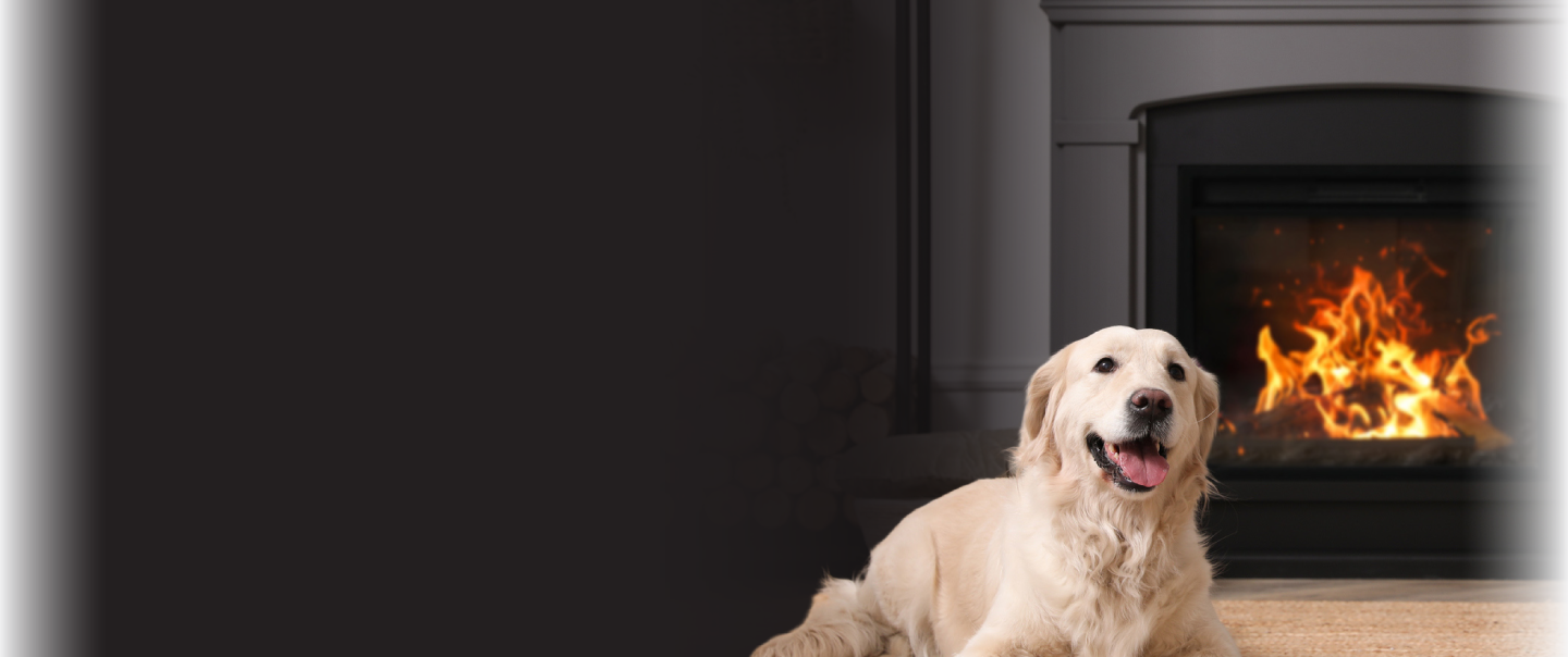 58 10067 Mortgage Winter Refresh Dog Carousel