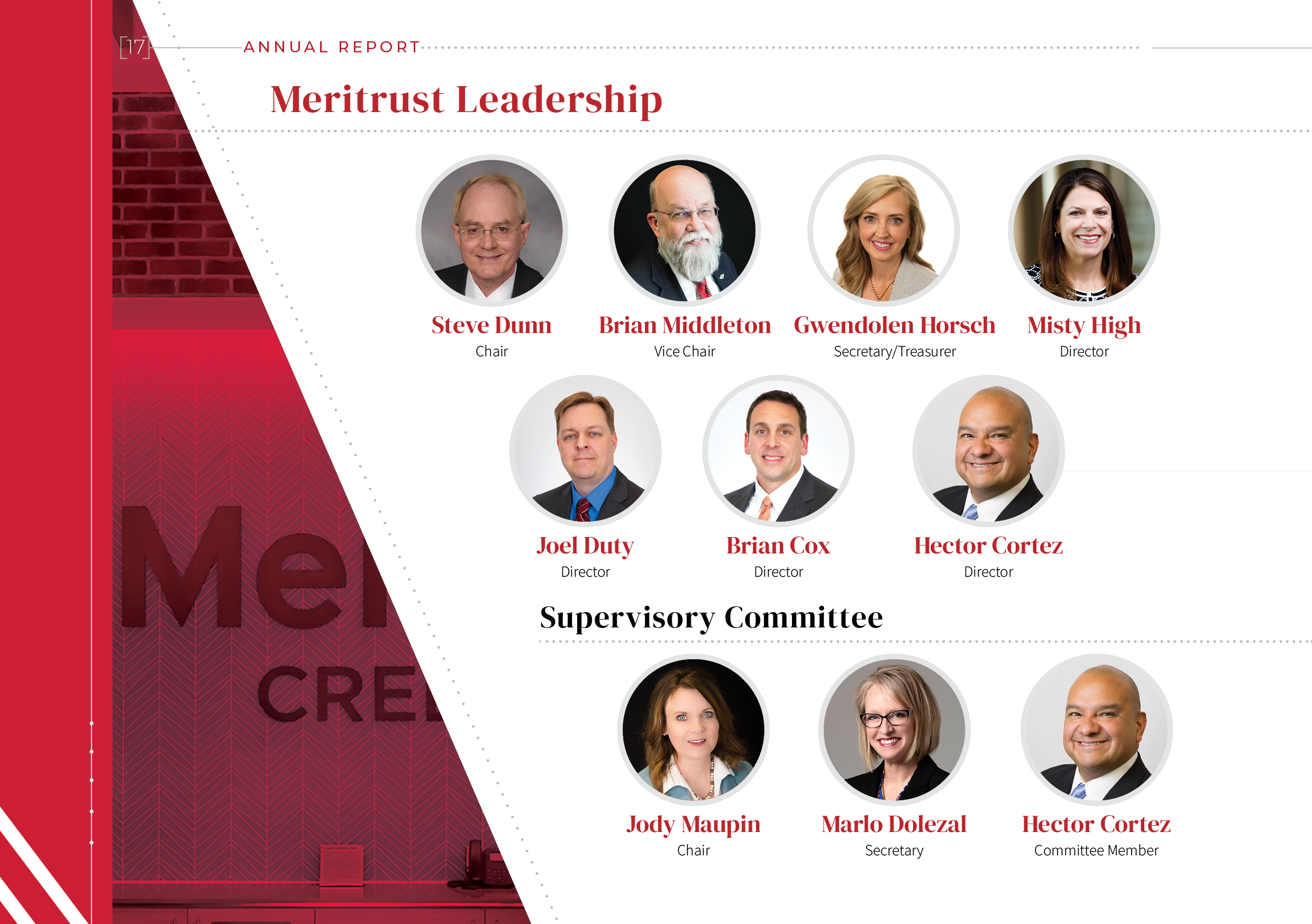 annual report page 17